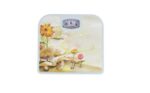 Cantar mecanic , pentru persoane , Grunberg BS04