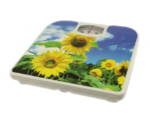 Cantar mecanic , pentru persoane , Grunberg BS04
