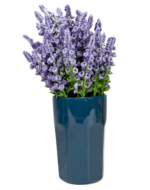 Pahar de culoarea Albastru Cobalt de 480 ml, Cesiro