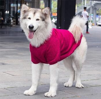 Pulover Caini YAODHAOD Talie Mare
