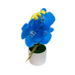 Decorațiune florală cu orhidee albastră în ghiveci de 30x10 cm