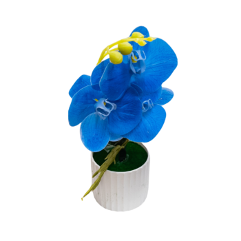 Decorațiune florală cu orhidee albastră în ghiveci de 30x10 cm