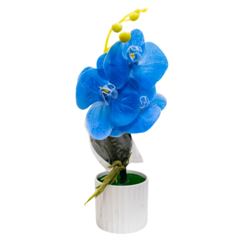 Decorațiune florală cu orhidee albastră în ghiveci de 30x10 cm