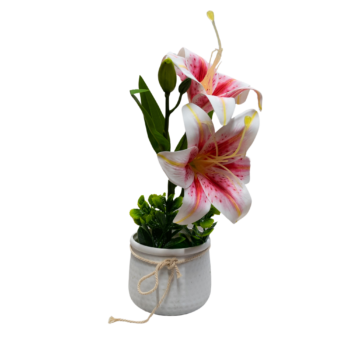 Floare decorativă în ghiveci crini albi interior roz