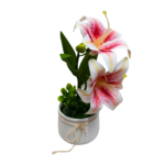 Floare decorativă în ghiveci crini albi interior roz