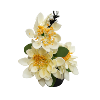 Floare decorativă în ghiveci flori albe