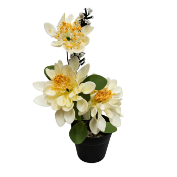 Floare decorativă în ghiveci flori albe
