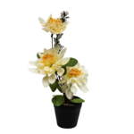 Floare decorativă în ghiveci flori albe