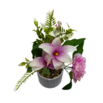 Floare decorativă în ghiveci flori lila