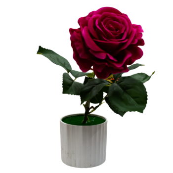 Floare decorativă în ghiveci trandafir roz închis