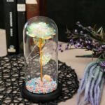 Trandafir în cupola 21 cm, Multicolor cu flamingo