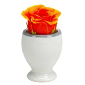 Suport de ou cu model 6 cm inaltime, Alb/Gri