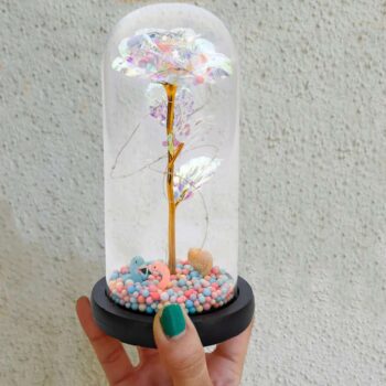 Trandafir în cupola 21 cm, Multicolor cu flamingo