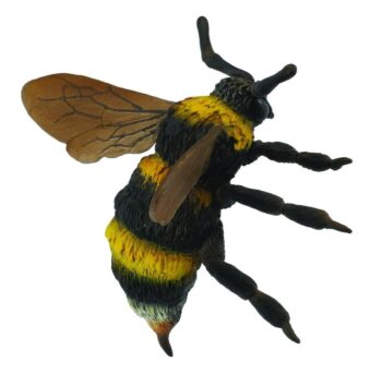 Bondar - Collecta