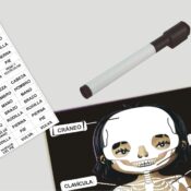 Puzzle educational corpul uman Miniland