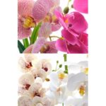 FLORI ARTIFICIALE GHIVECI (ORHIDEE) A10645