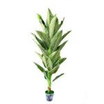 POM DECOR A10658