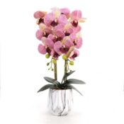FLORI ARTIFICIALE GHIVECI (ORHIDEE) A11202