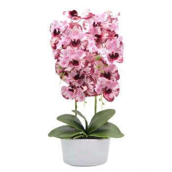 FLORI ARTIFICIALE GHIVECI (ORHIDEE) A11283 FLORI ARTIFICIALE GHIVECI (ORHIDEE) A11283