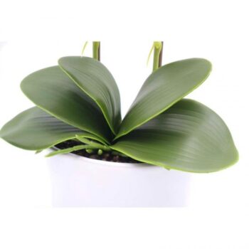 FLORI ARTIFICIALE GHIVECI (ORHIDEE) A11283