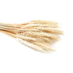 FLORI ARTIFICIALE A11289