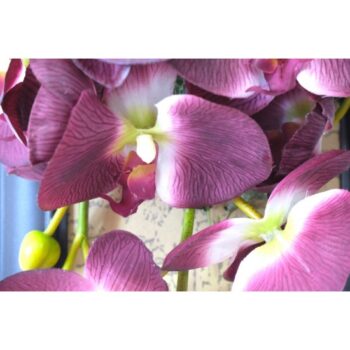 FLORI DÉCOR A11321