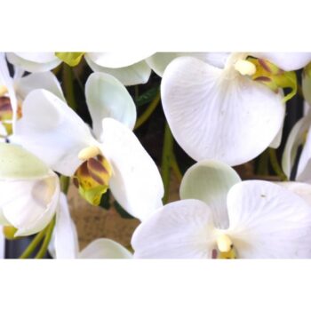 FLORI DÉCOR A11321