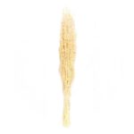 FLORI USCATE BUCHET A12531