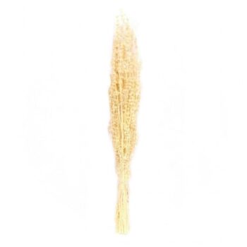 FLORI USCATE BUCHET A12531