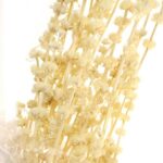 FLORI USCATE BUCHET A12532