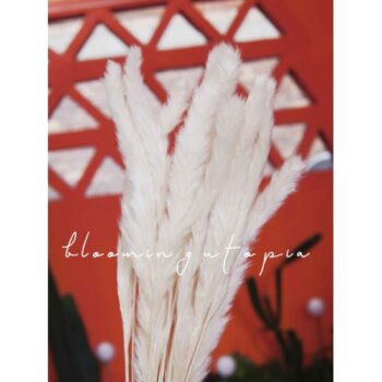 FLORI USCATE BUCHET A12584