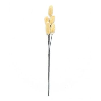 FLORI USCATE BUCHET A12585 FLORI USCATE BUCHET A12585