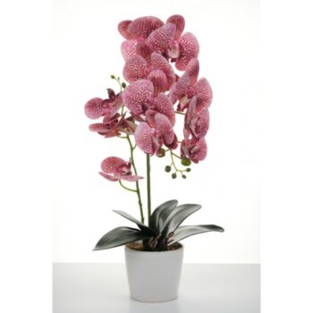 FLORI ARTIFICIALE GHIVECI (ORHIDEE) A12687