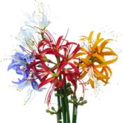 FLORI ARTIFICIALE A12835