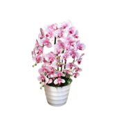 FLORI ARTIFICIALE GHIVECI A80004