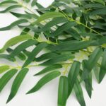 FRUNZE ARTIFICIALE A80134