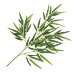 FRUNZE ARTIFICIALE A80134