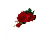 FLORI ARTIFICIALE A80068
