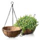COS DECOR A07543