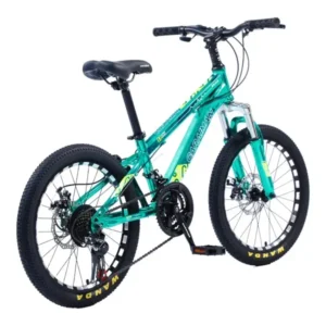 Bicicleta CARAIMAN, 20CR, Turcoaz
