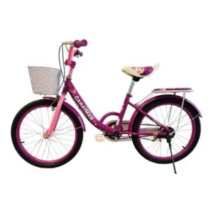 Bicicleta CARAIMAN 20G, Mov