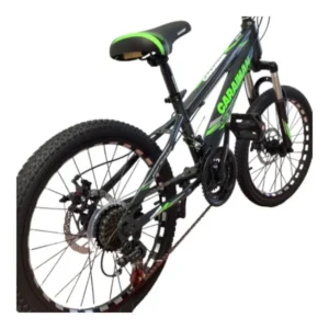 Bicicleta CARAIMAN 20MLD Model Nou, Negru-Verde