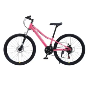 Bicicleta CARAIMAN, 24XJL, Roz
